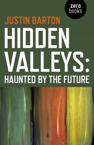 Cover of the book Hidden Valleys by D. Joseph Jacques