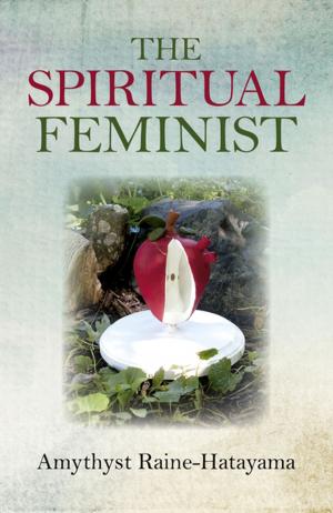 bigCover of the book The Spiritual Feminist by 