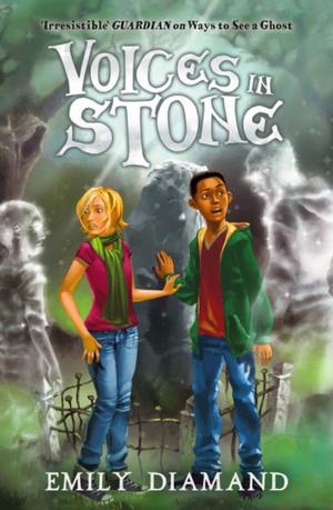 Cover of the book Voices in Stone by CJ Carver