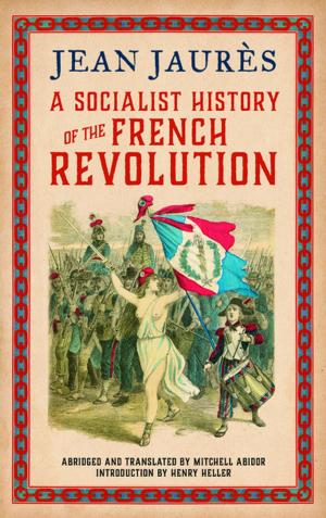 bigCover of the book A Socialist History of the French Revolution by 