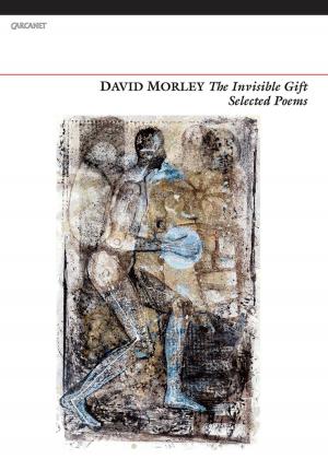 Book cover of The Invisible Gift