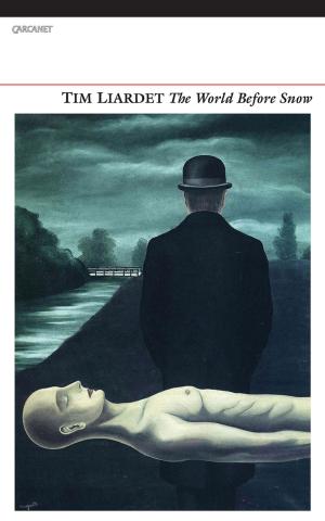 Cover of the book The World Before Snow by Jeffrey Wainwright