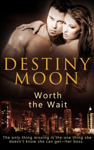 Cover of the book Worth the Wait by Katharine Kincaid