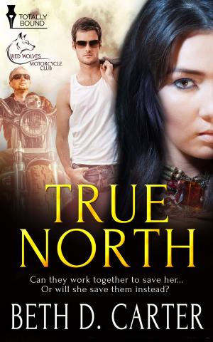 Cover of the book True North by Crissy Smith