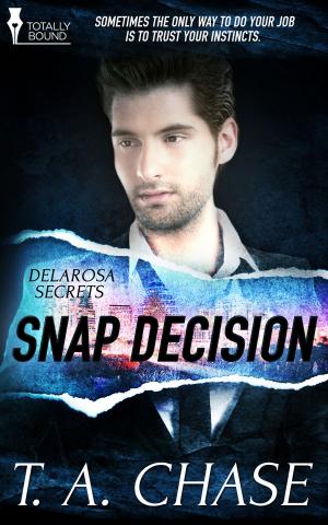 Cover of the book Snap Decision by Savage Tempest