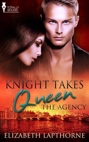 Cover of the book Knight Takes Queen by Ylette Pearson