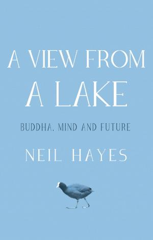 Cover of the book A View From A Lake by Bryan Wagner