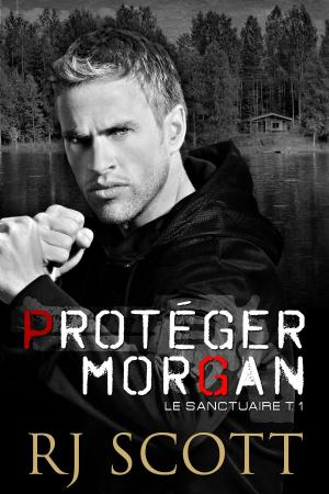 Book cover of Protéger Morgan
