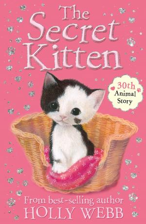 Book cover of The Secret Kitten