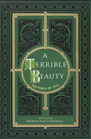 Cover of the book A Terrible Beauty by Prof. A. Norman Jeffares, Muriel Bolger