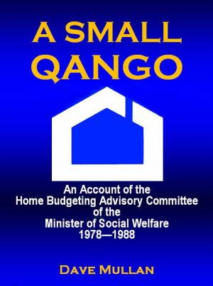 Cover of the book A Small Qango: Reminiscences of the Home Budgeting Advisory Committee of the Minister of Social Welfare 1978 - 1988 by John Wright