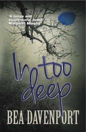 Cover of the book In Too Deep by Sophie Duffy