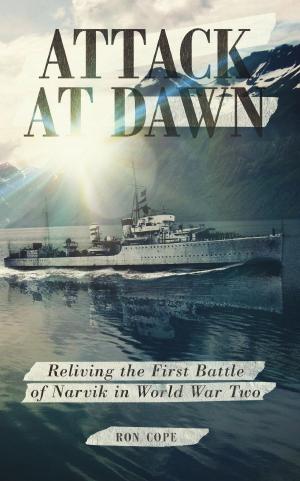 Cover of the book Attack at Dawn by Simone Santivari