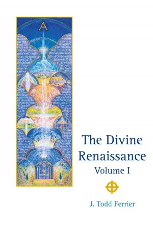 Book cover of The Divine Renaissance
