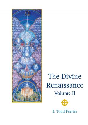 Book cover of The Divine Renaissance