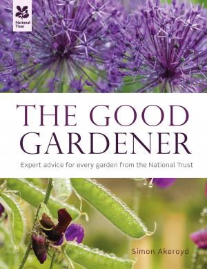Cover of the book The Good Gardener by Brian Levison