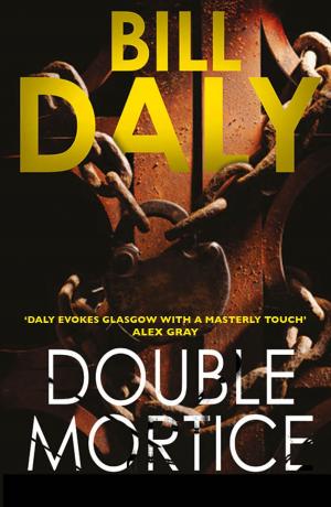 Cover of the book Double Mortice by Andy Zaltzman