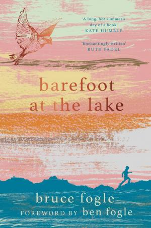 Book cover of Barefoot At The Lake