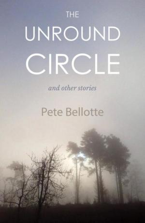 Cover of the book The Unround Circle by Rob Gore