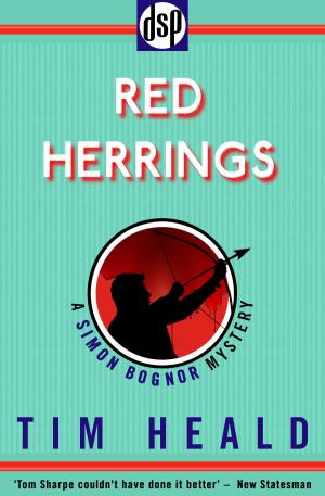 Cover of the book Red Herrings by Elizabeth Fair