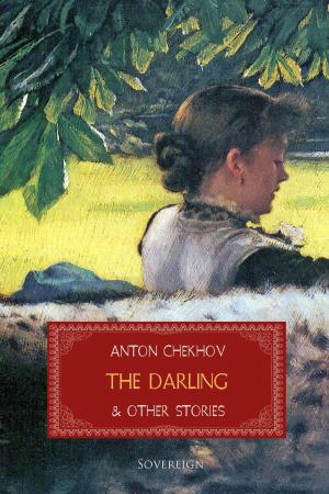 Cover of the book The Darling and Other Stories by Apuleius