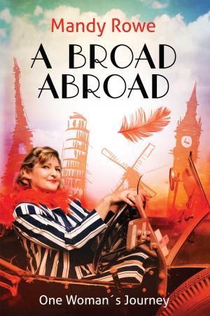 Book cover of A Broad Abroad