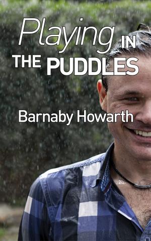 Cover of the book Playing in the Puddles by Stanley Gray
