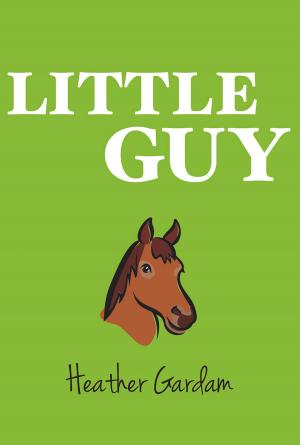 Cover of the book Little Guy by John Gillgren