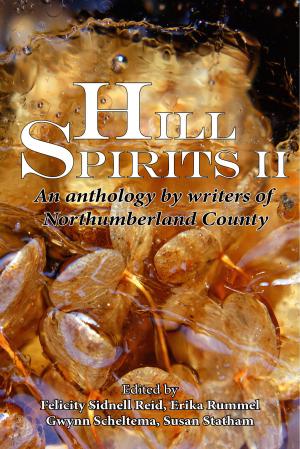 Cover of the book Hill Spirits II by Brian Mullally