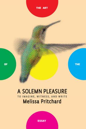 Cover of the book A Solemn Pleasure by Melissa Pritchard