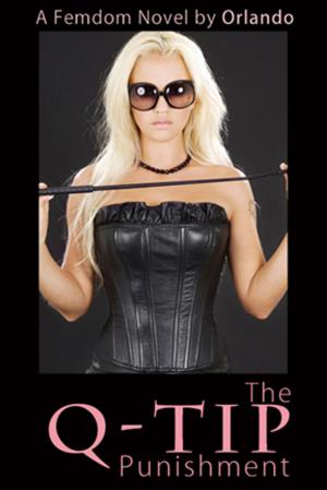 Cover of the book The QTip Punishment by Lizbeth Dusseau, Lizbeth Dusseau