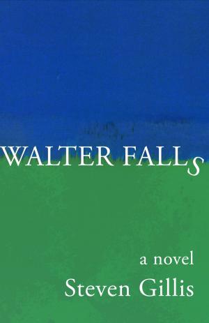 Cover of the book Walter Falls by Adam Klein