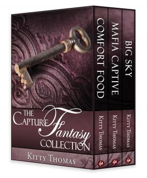 Cover of the book The Capture Fantasy Collection by Jodie Halliday