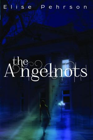 Cover of the book The Angelnots by Stormy Kurtz