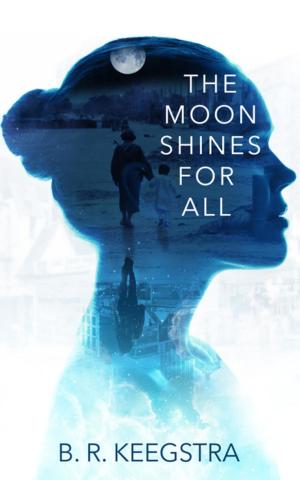 Cover of the book The Moon Shines For All by Stormy Kurtz