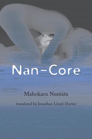 Cover of the book Nan-Core by JD Chandler