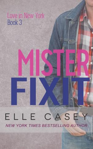 Cover of the book Mister Fixit by Daphne Swan