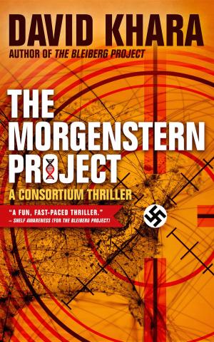 Cover of the book The Morgenstern Project by RJ Green
