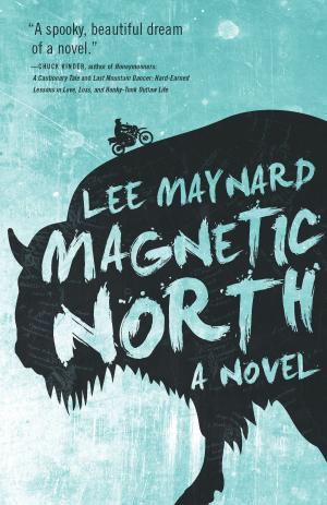 Cover of the book Magnetic North by Philip Levy