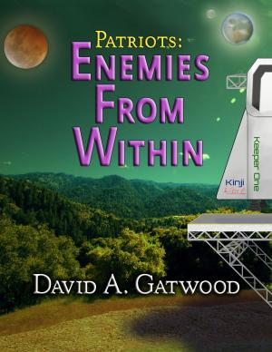 Cover of the book Enemies From Within by David Goossen
