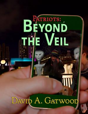 Cover of the book Beyond the Veil by Jackson Allen