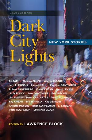 Cover of the book Dark City Lights by Richard Katrovas