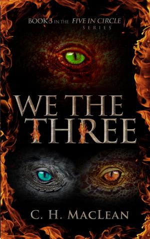 Book cover of We the Three