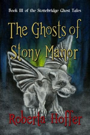 Cover of the book The Ghosts of Stony Manor by Terri Branson