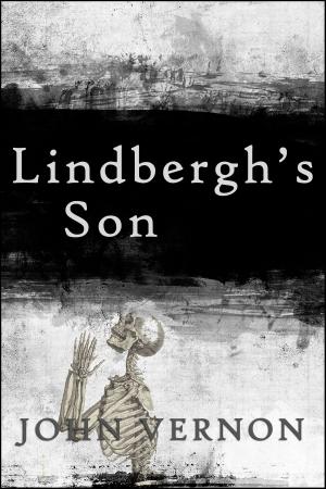 Cover of the book Lindbergh's Son by Carmiel Banasky