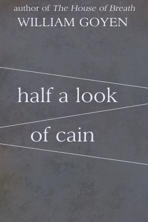 Cover of the book Half a Look of Cain by Brad Barkley