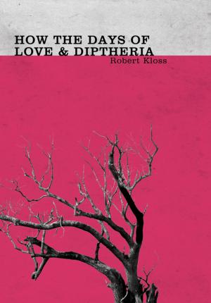 Cover of the book How the Days of Love and Diphtheria by Tom LeClair