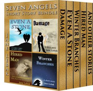Cover of the book Seven Angels Short Story Bundle by Maddie Evans