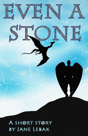 Cover of Even A Stone