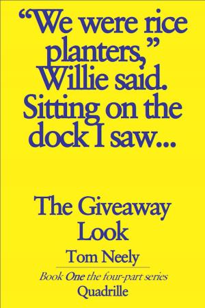 Cover of the book The Giveaway Look by Tessie Gillis